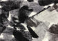 পারফেক্ট উচ্চ পারম্যায়বিলিটি সঙ্গে চীন শৈলী কালো এবং হোয়াইট গ্রাফিক প্রিন্ট আমদানি